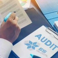 The audit of project settlement report