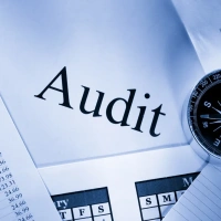 Independent Audit