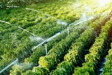 Quyết định số 895/QĐ-TTg của Thủ tướng Chính phủ: Phê duyệt Quy hoạch lâm nghiệp quốc gia thời kỳ 2021 - 2030, tầm nhìn đến năm 2050